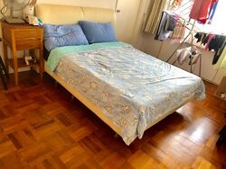 Cairnhill Plaza (D9), Apartment #609082381
